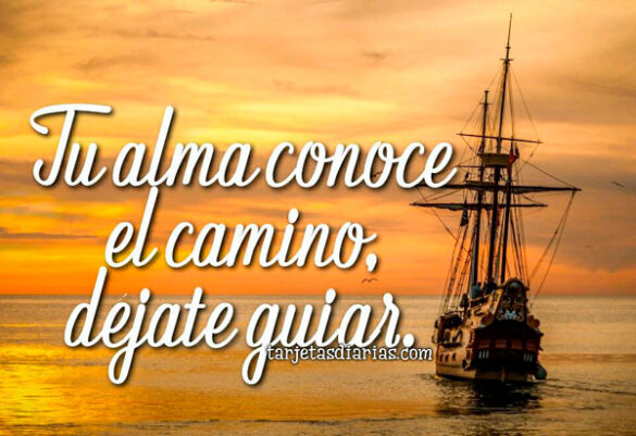 TU ALMA CONOCE EL CAMINO, DÉJATE GUIAR