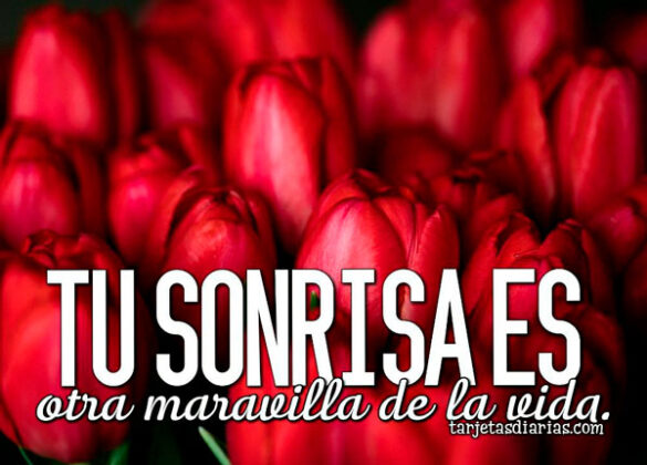 TU SONRISA ES OTRA MARAVILLA DE LA VIDA