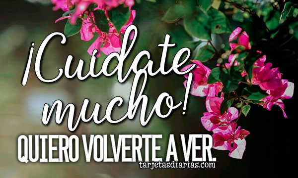 ¡CUÍDATE MUCHO! QUIERO VOLVERTE A VER - Tarjetas Diarias