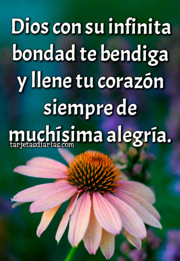 DIOS CON SU INFINITA BONDAD TE BENDIGA Y LLENE TU CORAZÓN SIEMPRE DE MUCHÍSIMA ALEGRÍA