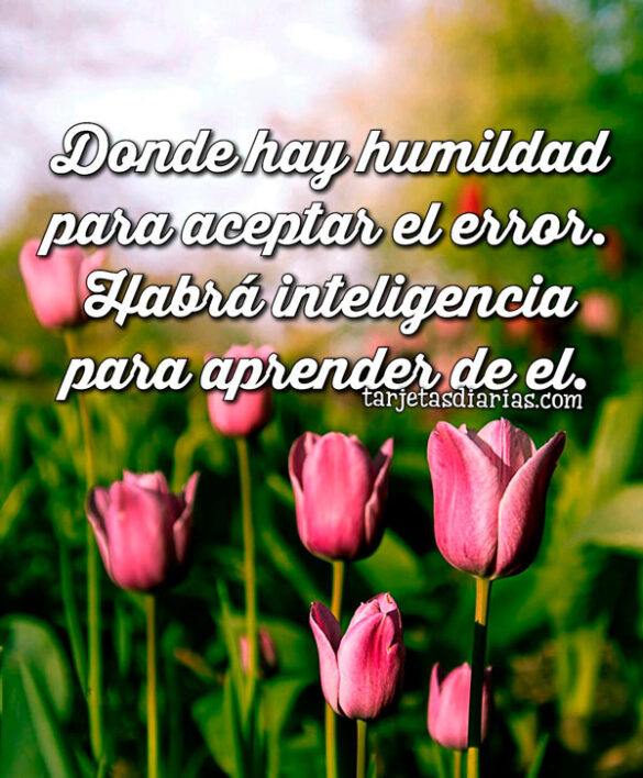 DONDE HAY HUMILDAD PARA ACEPTAR EL ERROR. HABRÁ INTELIGENCIA PARA APRENDER DE EL