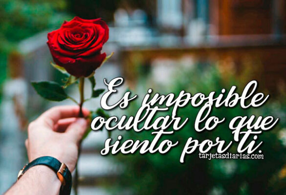 ES IMPOSIBLE OCULTAR LO QUE SIENTO POR TI