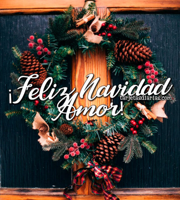 ¡FELIZ NAVIDAD AMOR!