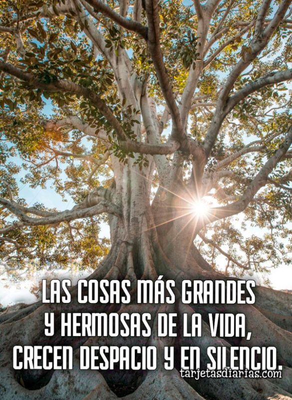 LAS COSAS MÁS GRANDES Y HERMOSAS DE LA VIDA, CRECEN DESPACIO Y EN SILENCIO
