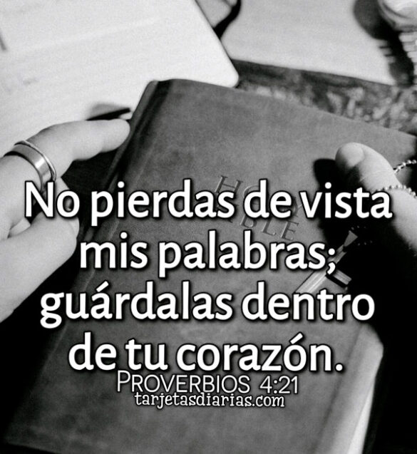 NO PIERDAS DE VISTA MIS PALABRAS; GUÁRDALAS DENTRO DE TU CORAZÓN. PROVERBIOS 4:21