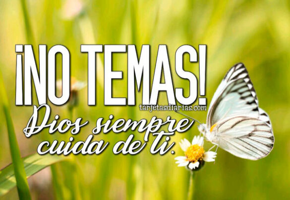¡NO TEMAS! DIOS SIEMPRE CUIDA DE TI