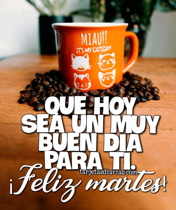 QUE HOY SEA UN MUY BUEN DÍA PARA TI ¡FELIZ MARTES!