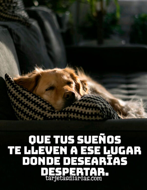 QUE TUS SUEÑOS TE LLEVEN A ESE LUGAR DONDE DESEARÍAS DESPERTAR