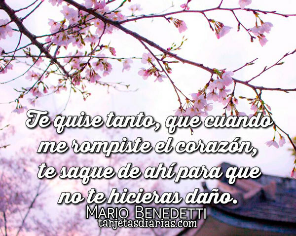 TE QUISE TANTO, QUE CUANDO ME ROMPISTE EL CORAZÓN, TE SAQUE DE AHÍ PARA QUE NO TE HICIERAS DAÑO
