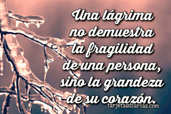 UNA LÁGRIMA NO DEMUESTRA LA FRAGILIDAD DE UNA PERSONA, SINO LA GRANDEZA DE SU CORAZÓN