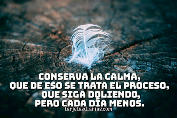 CONSERVA LA CALMA, DE ESO SE TRATA EL PROCESO, QUE SIGA DOLIENDO, PERO CADA DÍA MENOS
