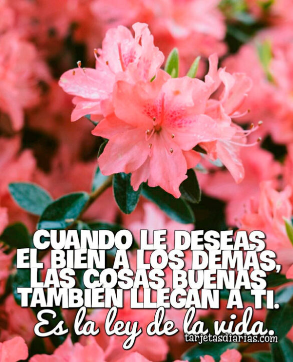 CUANDO LE DESEAS EL BIEN A LOS DEMÁS LAS COSAS BUENAS LLEGAN A TI