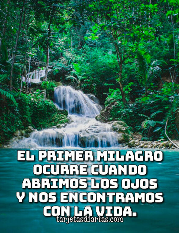 EL PRIMER MILAGRO OCURRE CUANDO ABRIMOS LOS OJOS Y NOS ENCONTRAMOS CON LA VIDA