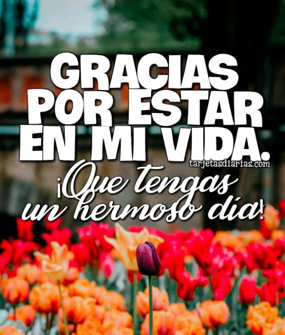 GRACIAS POR ESTAR EN MI VIDA ¡QUE TENGAS UN HERMOSO DÍA!