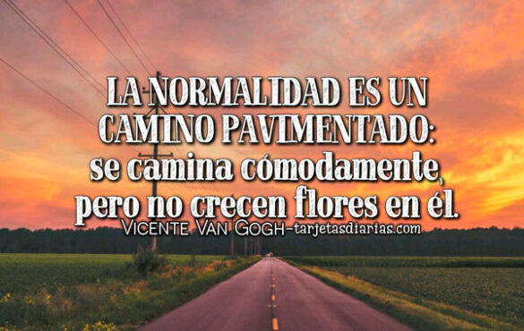 LA NORMALIDAD ES UN CAMINO PAVIMENTADO: SE CAMINA CÓMODAMENTE PERO NO CRECEN FLORES EN ÉL