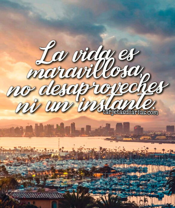 LA VIDA ES MARAVILLOSA, NO DESAPROVECHES NI UN INSTANTE