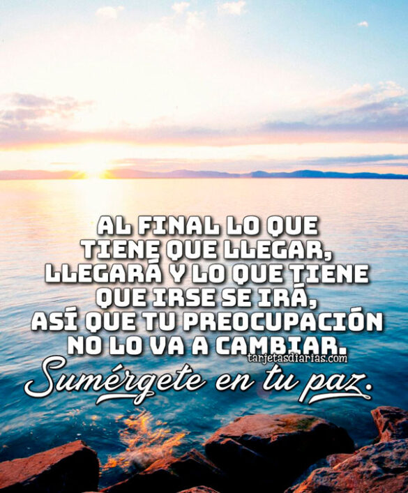 LO QUE TIENE QUE LLEGAR, LLEGARÁ Y LO QUE TIENE QUE IRSE SE IRÁ, TU PREOCUPACIÓN NO LO VA A CAMBIAR. SUMÉRGETE EN TU PAZ