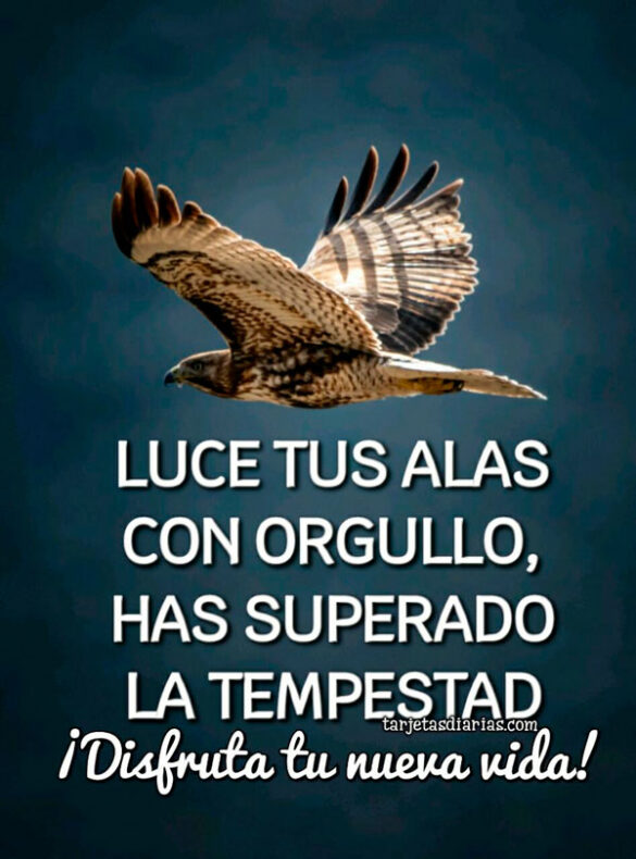LUCE TUS ALAS CON ORGULLO, HAS SUPERADO LA TEMPESTAD ¡DISFRUTA TU NUEVA VIDA!