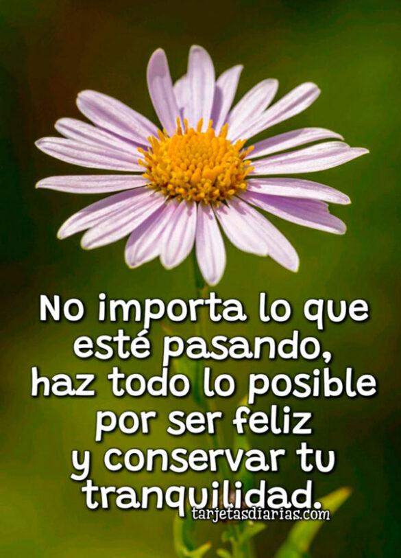 NO IMPORTA LO QUE ESTÉ PASANDO, HAZ LO POSIBLE POR SER FELIZ Y CONSERVAR TU TRANQUILIDAD