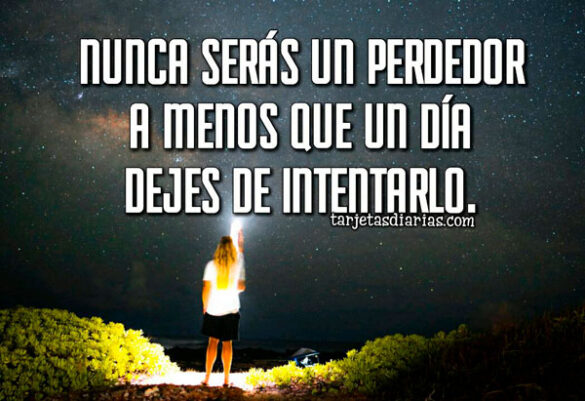 NUNCA SERÁS UN PERDEDOR A MENOS QUE UN DÍA DEJES DE INTENTARLO