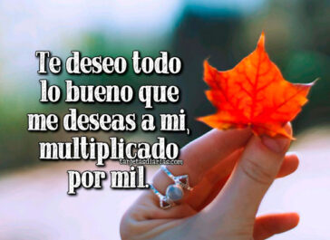 TE DESEO TODO LO BUENO QUE ME DESEAS A MI, MULTIPLICADO POR MIL ...