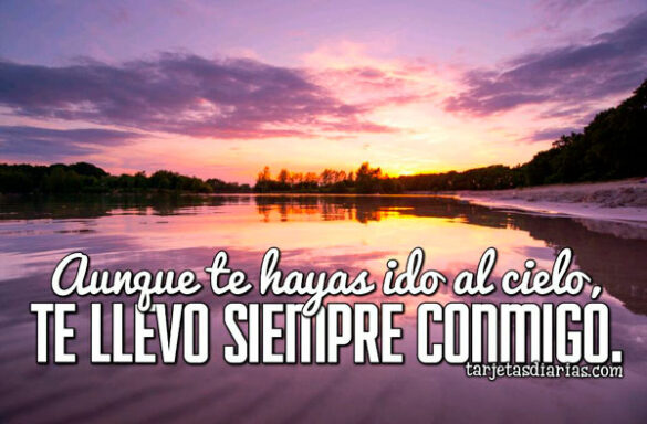 AUNQUE TE HAYAS IDO AL CIELO, TE LLEVO SIEMPRE CONMIGO