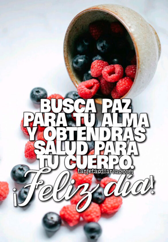 BUSCA PAZ PARA TU ALMA Y OBTENDRÁS SALUD PARA TU CUERPO ¡FELIZ DÍA!