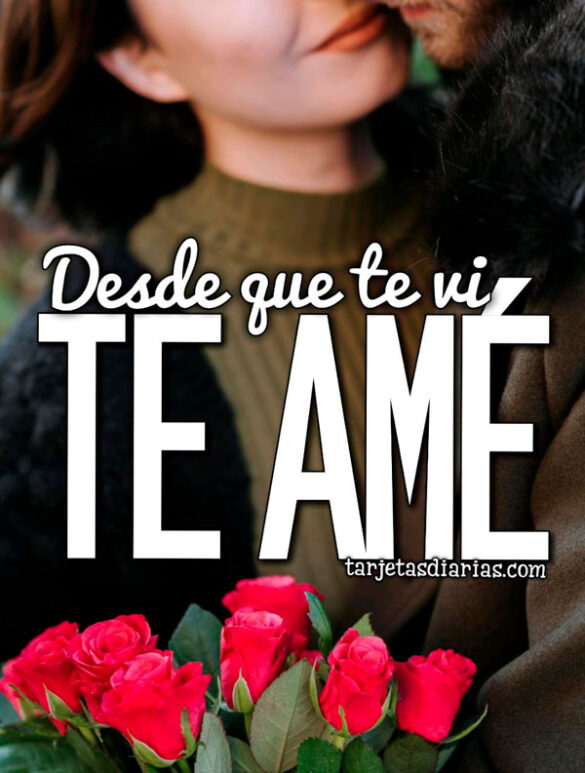 DESDE QUE TE VI, TE AMÉ