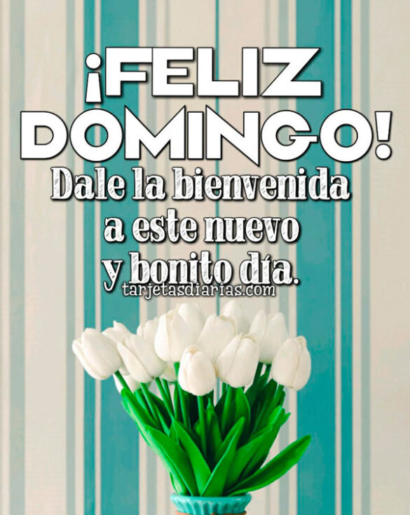 ¡FELIZ DOMINGO! DALE LA BIENVENIDA A ESTE NUEVO Y BONITO DÍA