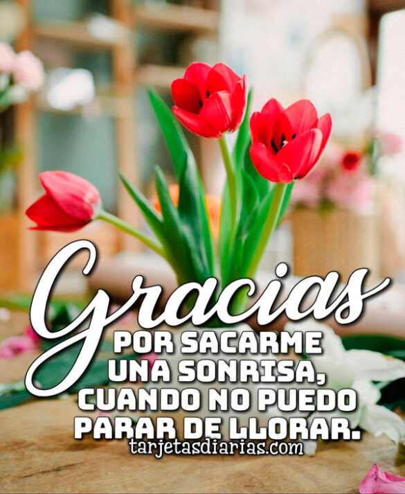 GRACIAS POR SACARME UNA SONRISA, CUANDO NO PUEDO PARAR DE LLORAR