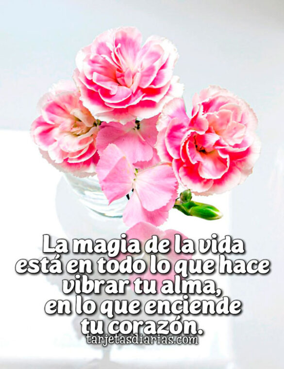 LA MAGIA DE LA VIDA ESTÁ EN TODO LO QUE HACE VIBRAR EL ALMA
