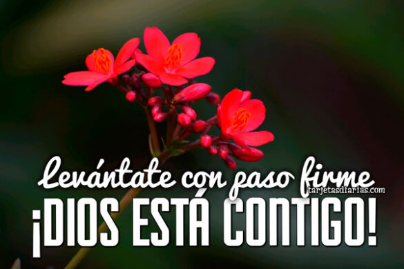 LEVÁNTATE CON PASO FIRME ¡DIOS ESTÁ CONTIGO!