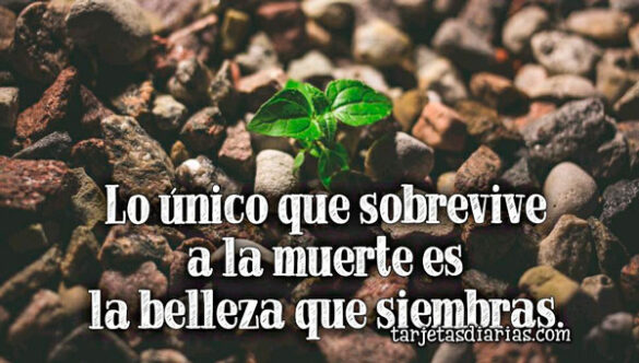 LO ÚNICO QUE SOBREVIVE A LA MUERTE ES LA BELLEZA QUE SIEMBRAS