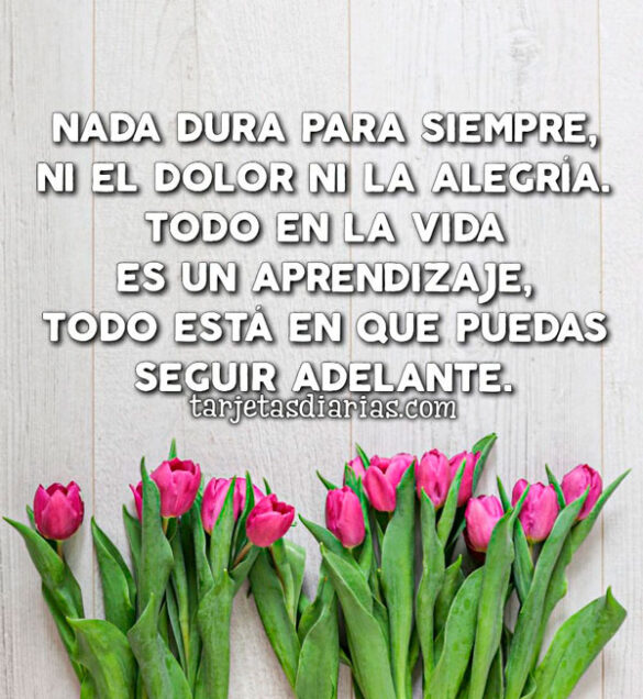 NADA DURA PARA SIEMPRE, NI EL DOLOR NI LA ALEGRÍA. TODO EN LA VIDA ES UN APRENDIZAJE