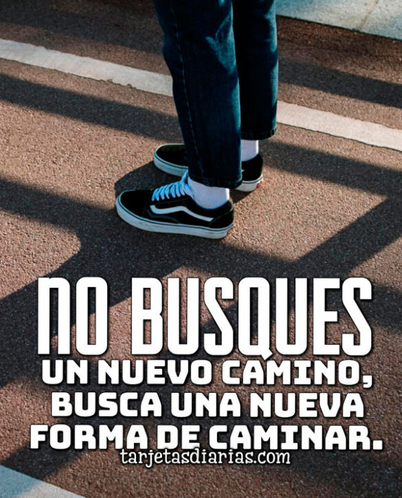 NO BUSQUES UN NUEVO CAMINO, BUSCA UNA NUEVA FORMA DE CAMINAR