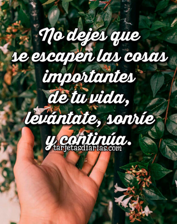 NO DEJES QUE SE ESCAPEN LAS COSAS IMPORTANTES DE TU VIDA, LEVÁNTATE, SONRÍE Y CONTINÚA