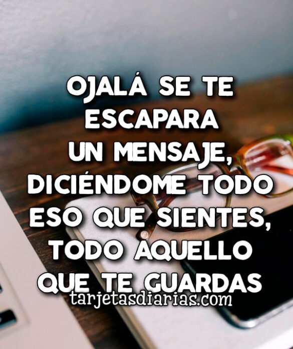 OJALÁ SE TE ESCAPARA UN MENSAJE, DICIÉNDOME TODO ESO QUE SIENTES