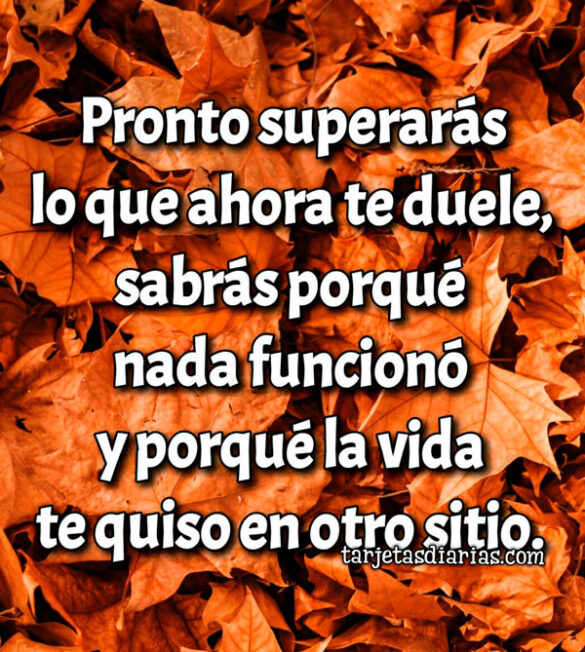 PRONTO SUPERARÁS LO QUE AHORA TE DUELE Y SABRÁS PORQUÉ NADA FUNCIONÓ
