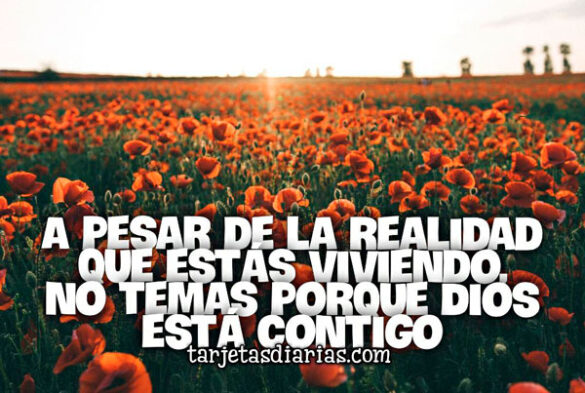 A PESAR DE LA REALIDAD QUE ESTÁS VIVIENDO, NO TEMAS PORQUE DIOS ESTÁ CONTIGO