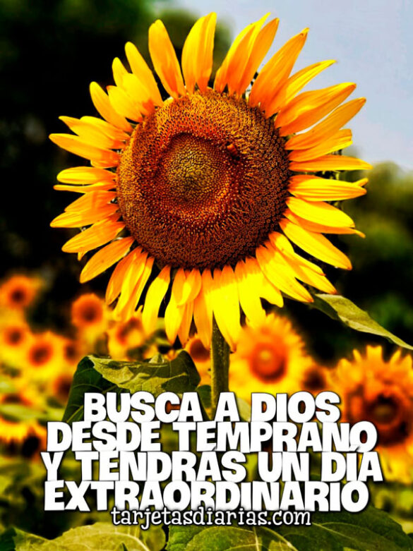 BUSCA A DIOS DESDE TEMPRANO Y TENDRÁS UN DÍA EXTRAORDINARIO