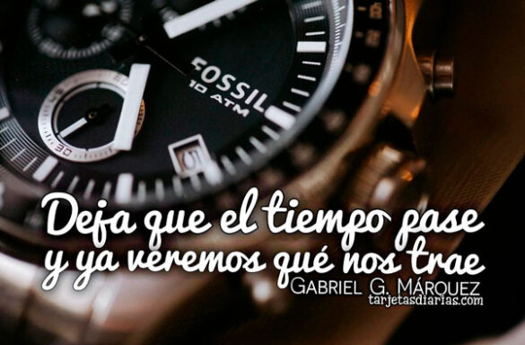 DEJA QUE EL TIEMPO PASE Y YA VEREMOS QUÉ NOS TRAE