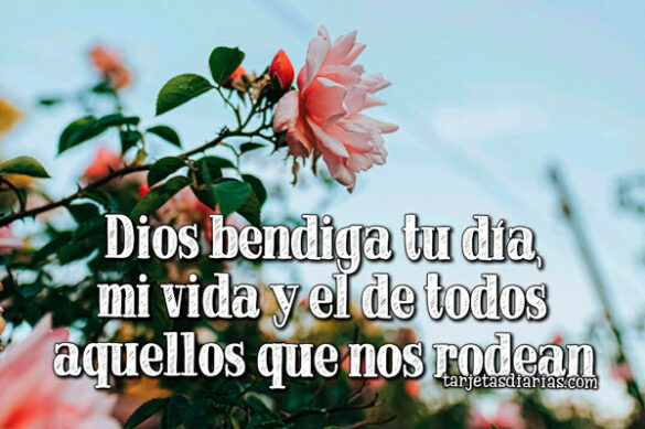 DIOS BENDIGA TU DÍA Y EL DE TODOS AQUELLOS QUE NOS RODEAN