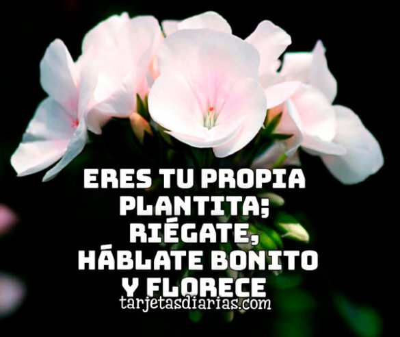 ERES TU PROPIA PLANTITA; RIÉGATE, HÁBLATE BONITO Y FLORECE