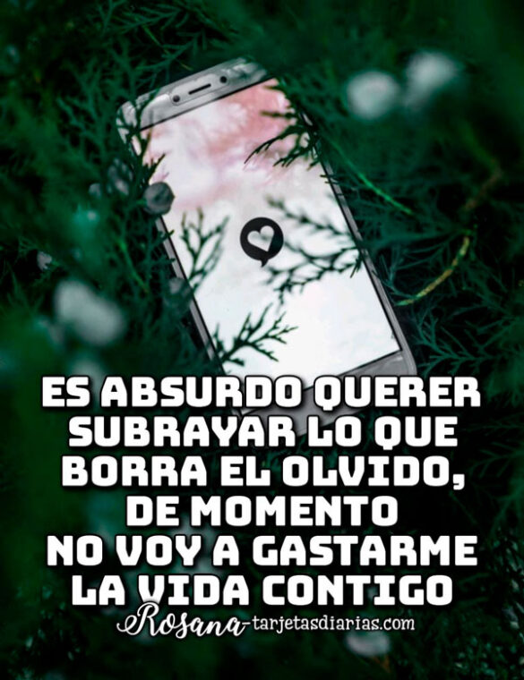ES ABSURDO QUERER SUBRAYAR LO QUE BORRA EL OLVIDO