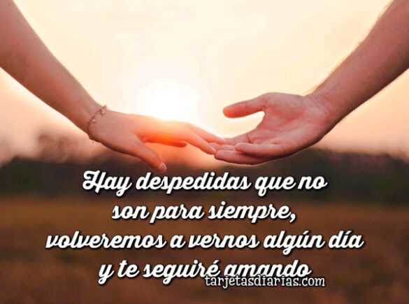 HAY DESPEDIDAS QUE NO SON PARA SIEMPRE, VOLVEREMOS A VERNOS Y TE SEGUIRÉ AMANDO