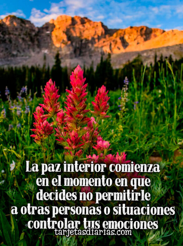 LA PAZ INTERIOR COMIENZA EN EL MOMENTO EN QUE DECIDES NO PERMITIRLE A OTROS CONTROLAR TUS EMOCIONES