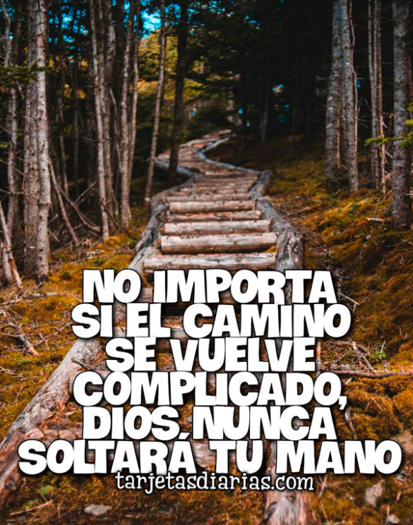NO IMPORTA SI EL CAMINO SE VUELVE COMPLICADO, DIOS NUNCA SOLTARÁ TU MANO