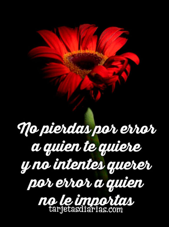 NO PIERDAS POR ERROR A QUIEN TE QUIERE Y NO INTENTES QUERER POR ERROR A QUIEN NO LE IMPORTAS