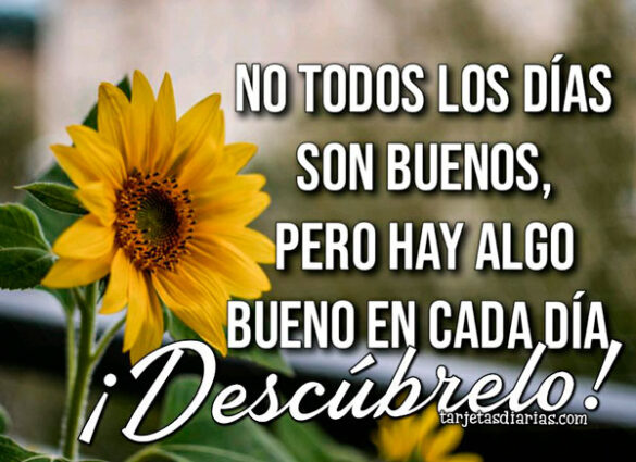 NO TODOS LOS DÍAS SON BUENOS, PERO HAY ALGO BUENO EN CADA DÍA ¡DESCÚBRELO!