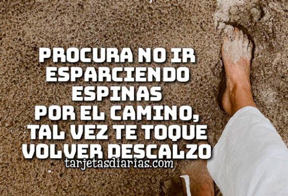 PROCURA NO IR ESPARCIENDO ESPINAS EN EL CAMINO, TAL VEZ TE TOQUE VOLVER DESCALZO